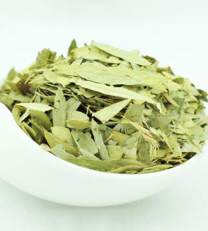 senna-leaf